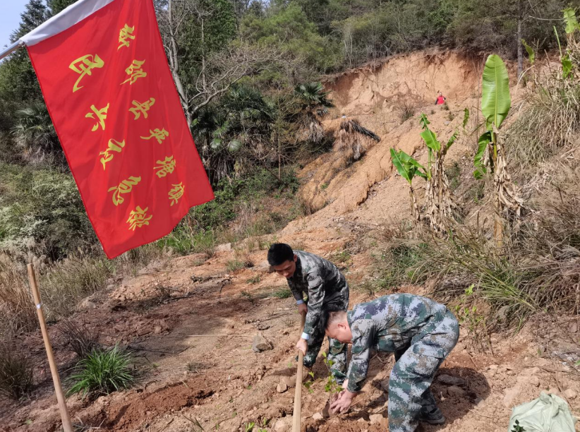 新邵县严塘镇民兵“学雷锋当先锋 助力乡村振兴”义务植树活动