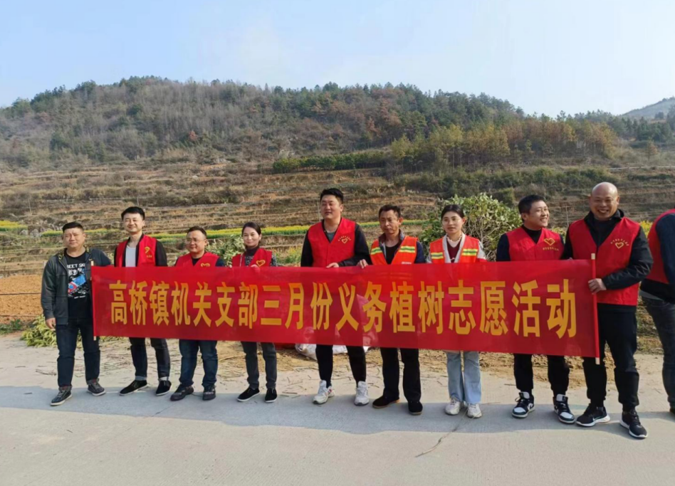新宁县高桥镇：党旗飘扬志愿红，春风送暖添新绿