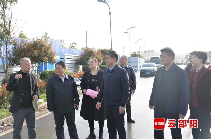 严华在市区督导全国文明城市创建工作