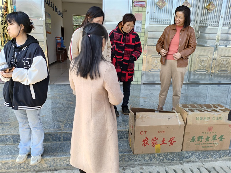 洞口县杨林镇：圆梦微心愿 助力乡村产业发展