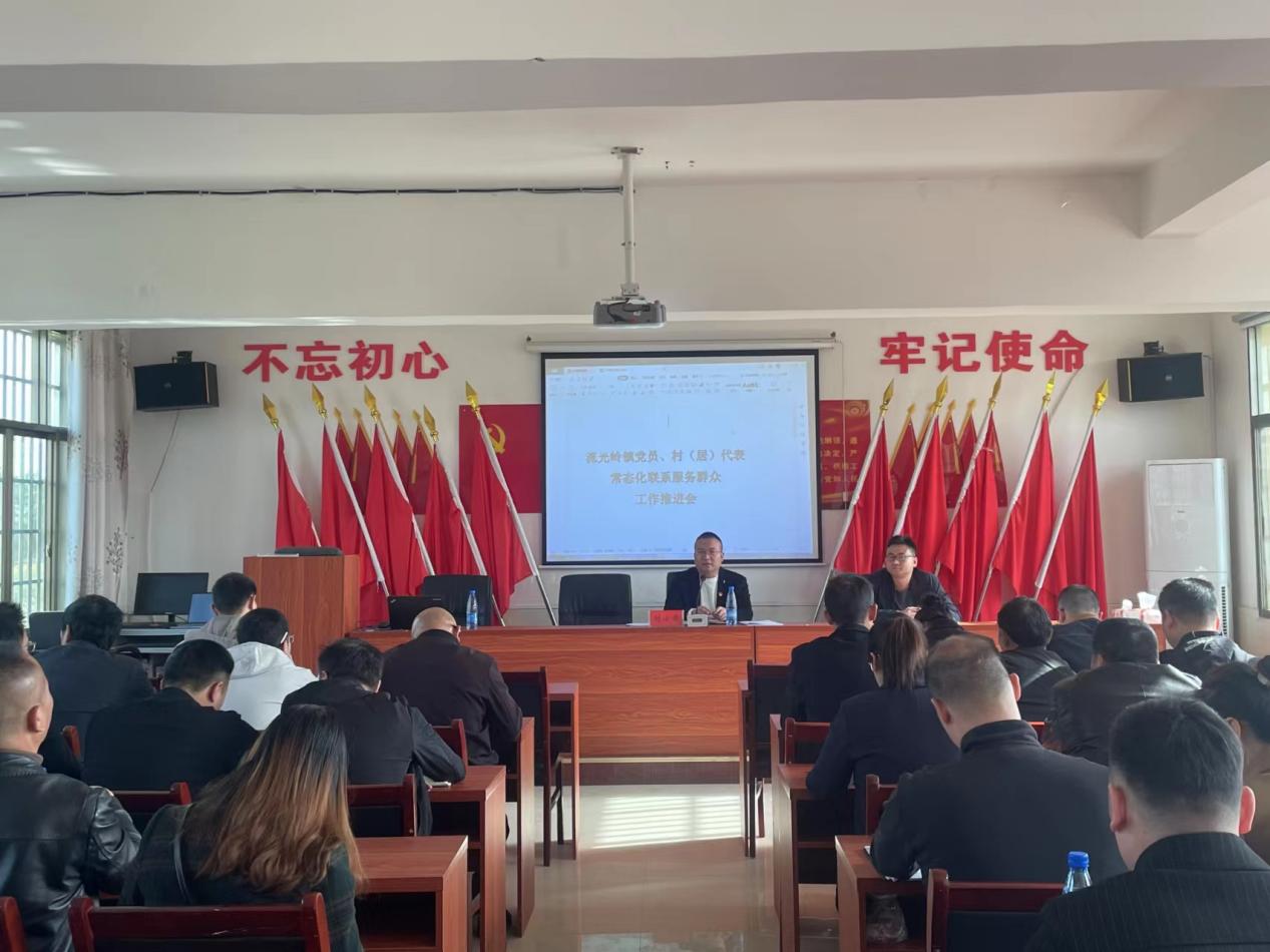 ​邵东市流光岭镇召开村（居）代表常态化联系服务群众现场会