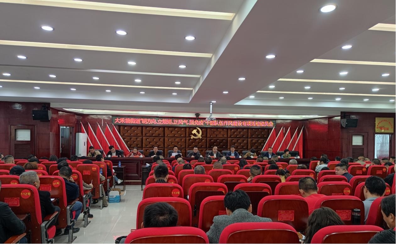 邵东市大禾塘街道召开干部队伍作风建设专项活动动员大会