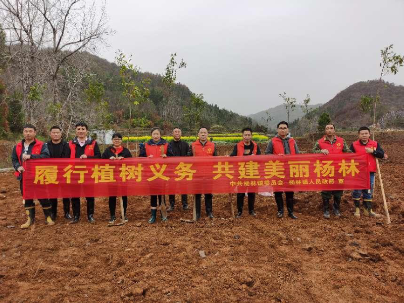 洞口县杨林镇开展“履行植树义务，共建美丽杨林”2023年义务植树活动
