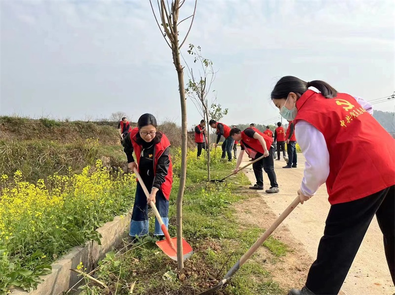 隆回县北山镇：政协委员聚合力，植树造林践初心