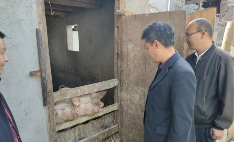 洞口县渣坪乡：汇聚政协力量，圆梦群众“微心愿”