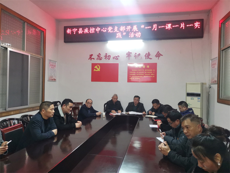 新宁县疾控中心党支部扎实开展“一月一课一片一实践”主题党日活动
