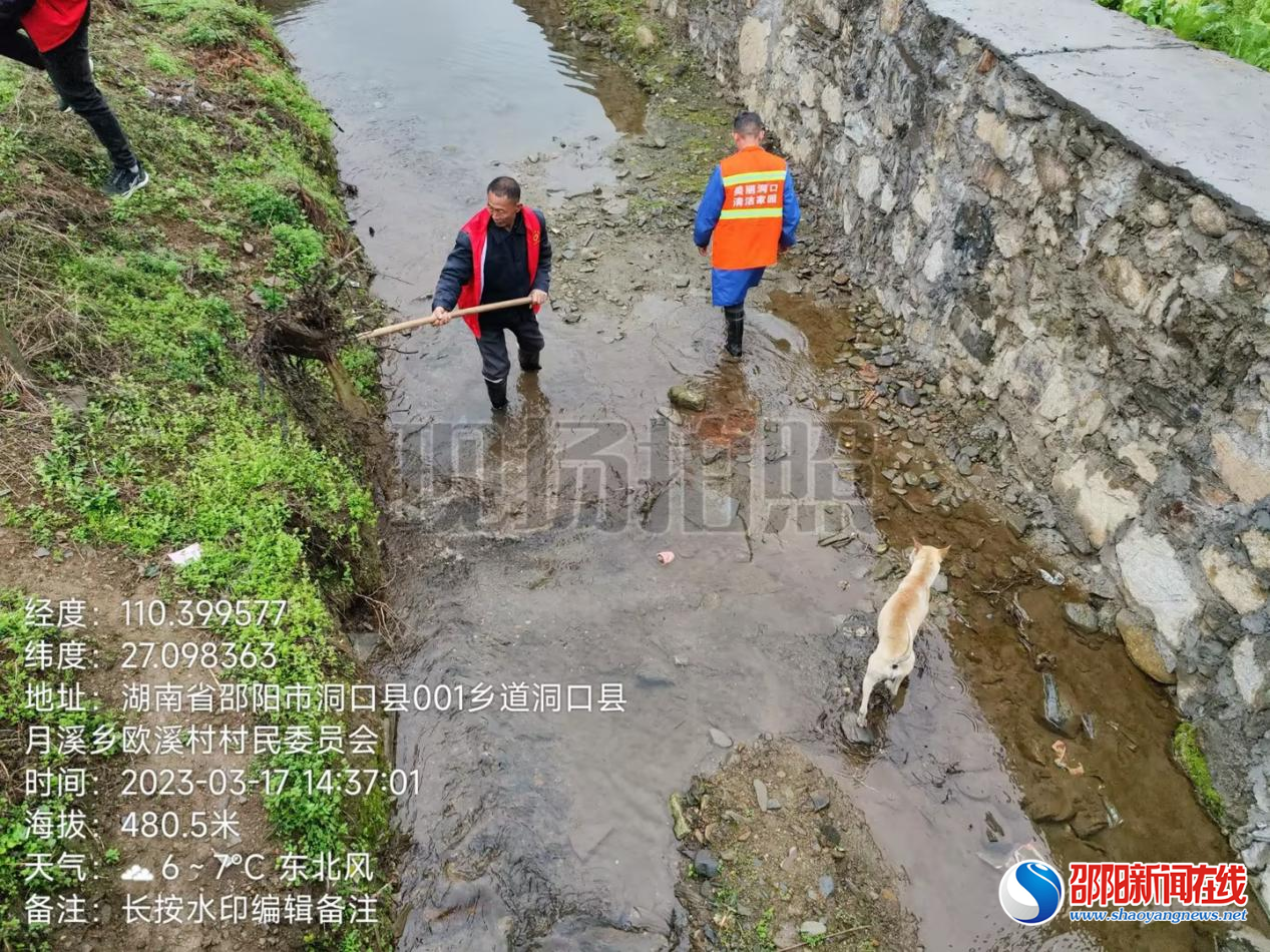 洞口县月溪镇：争做护河先锋，建设美丽家园