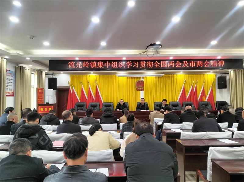 邵东市流光岭镇集中组织学习贯彻全国两会及邵东市两会精神