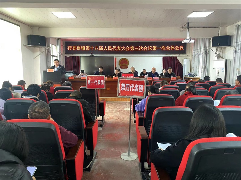 隆回县荷香桥镇第十八届人民代表大会第三次会议胜利召开