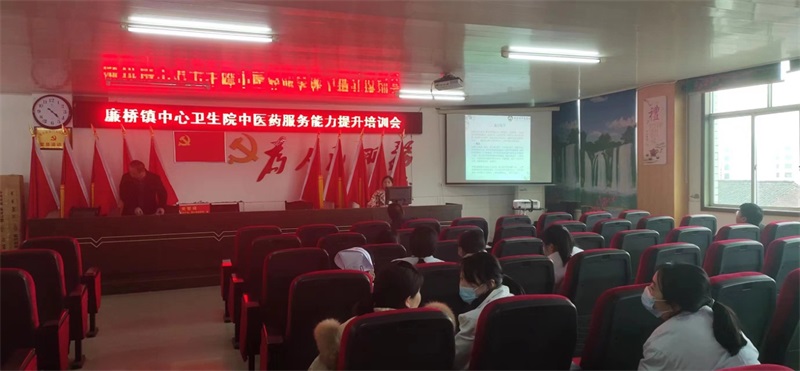 邵东市廉桥镇中心卫生院开展中医药服务能力提升培训会