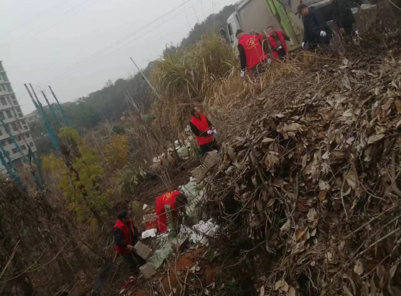 邵东市黑田铺镇：加快环境卫生治理，打造良好居住环境