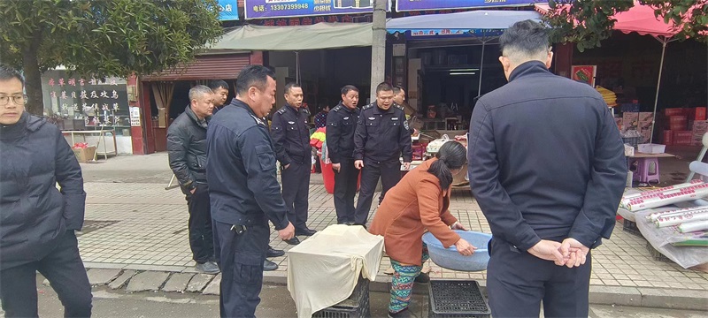 隆回县桃花坪街道开展违规占道经营专项治理工作