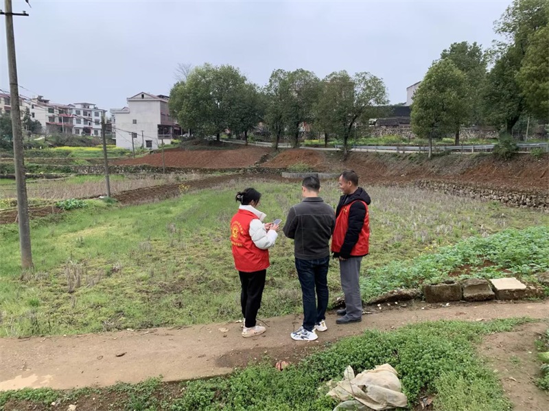 洞口县茶铺茶场管理区：湖南田长APP实现巡田数字化、智慧化
