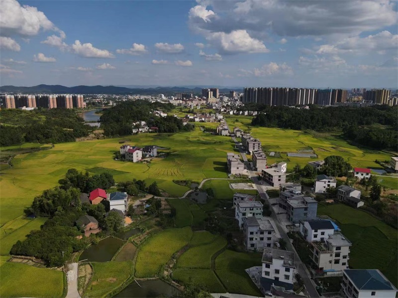 洞口县文昌街道平栋村：宜居宜业和美