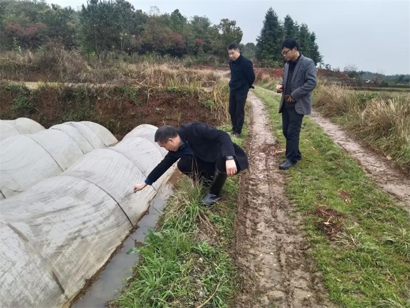 洞口县茶铺茶场管理区：党建引领保春耕