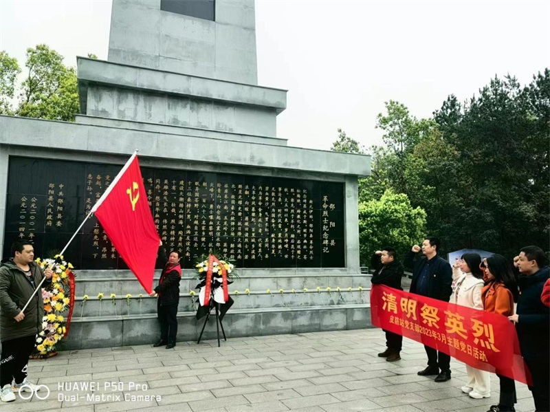 邵阳县皮肤病防治站党支部开展“清明祭英烈”活动