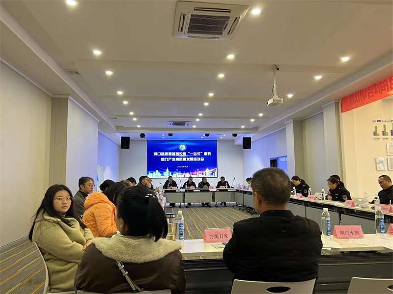 洞口县：召开质量基础设施“一站式”服务助力产业高质量发展座谈会