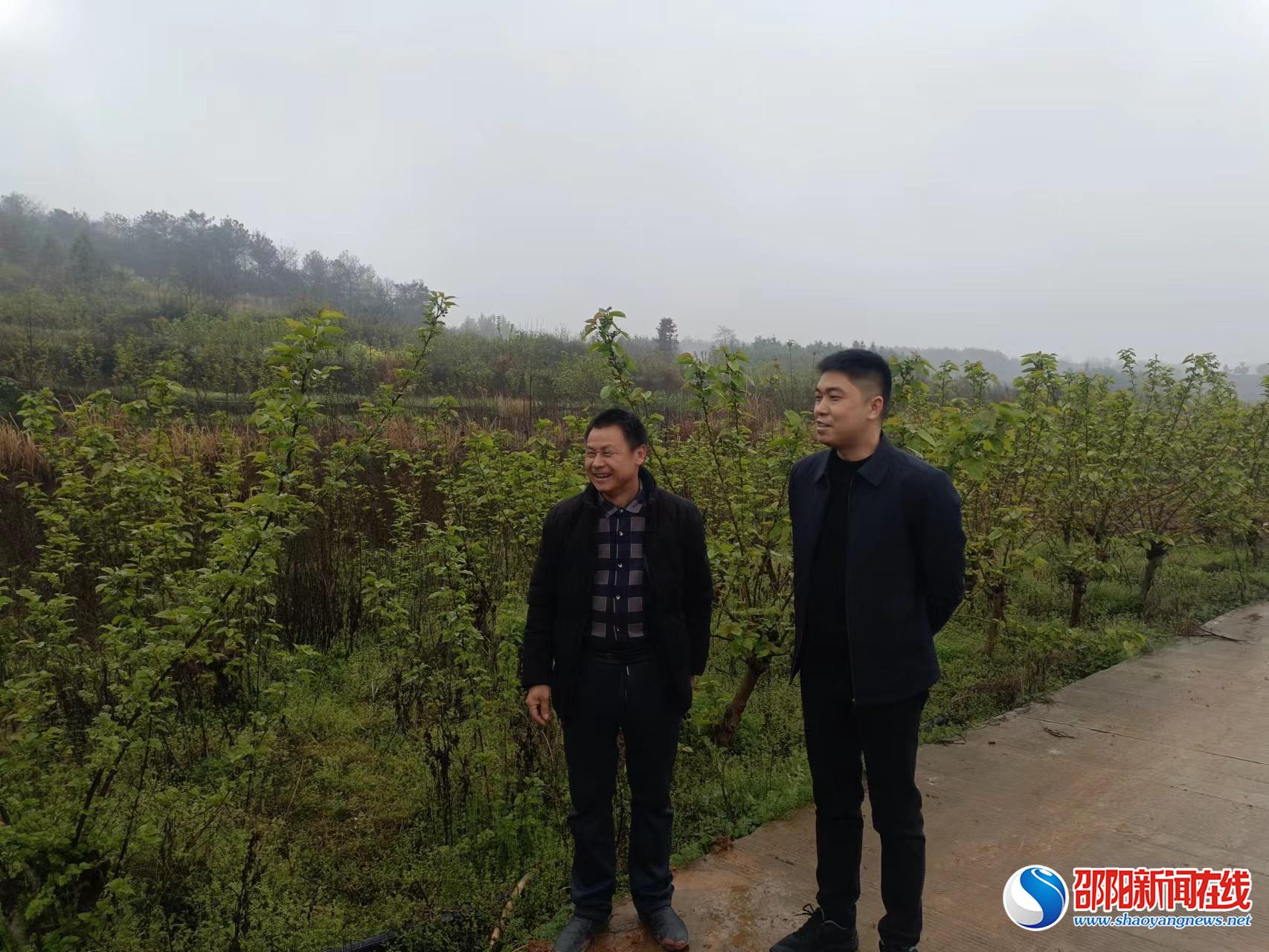 邵东市火厂坪镇：聚焦高质量发展 助力乡村振兴 
