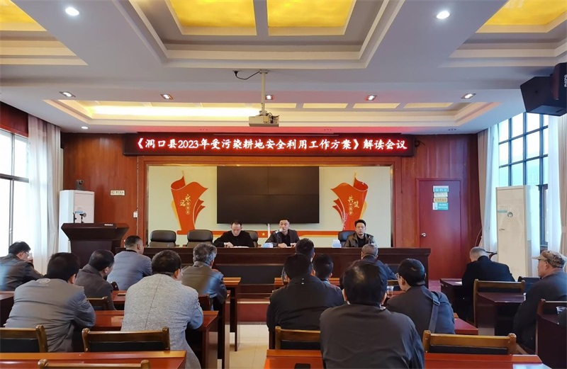 洞口：受污染耕地安全利用为粮食生产“保驾护航”