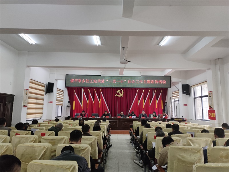 邵阳县诸甲亭乡社工站在行动