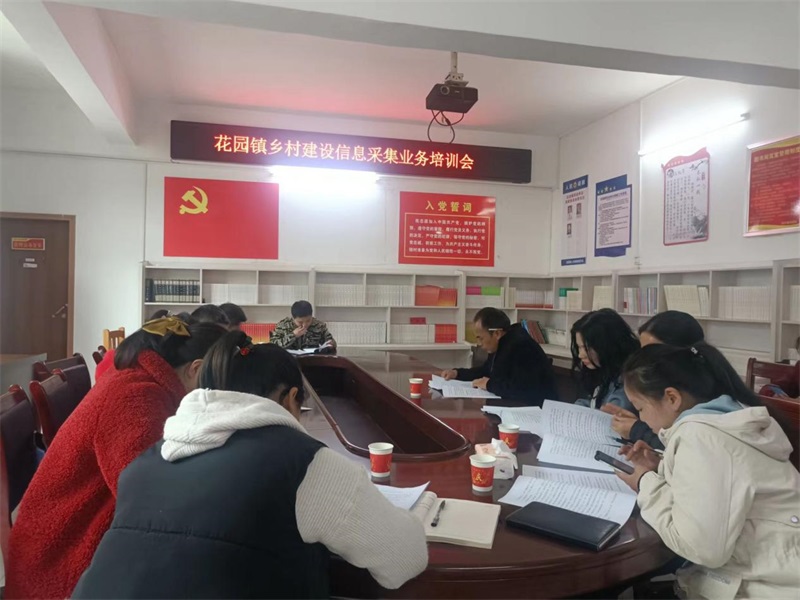 洞口县花园镇：开展乡村建设信息采集业务培训会