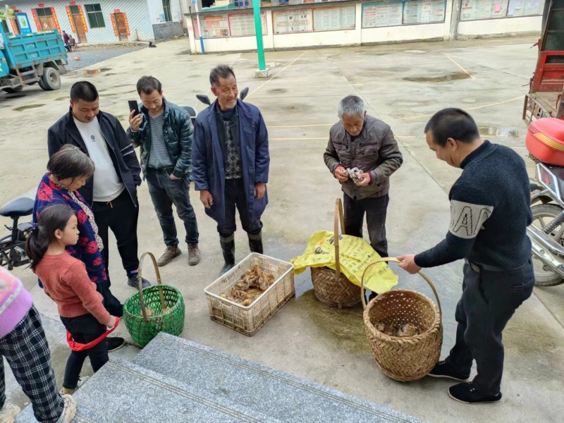 洞口县石柱镇塘湾村开展 “圆梦微心愿 携手共振兴”活动