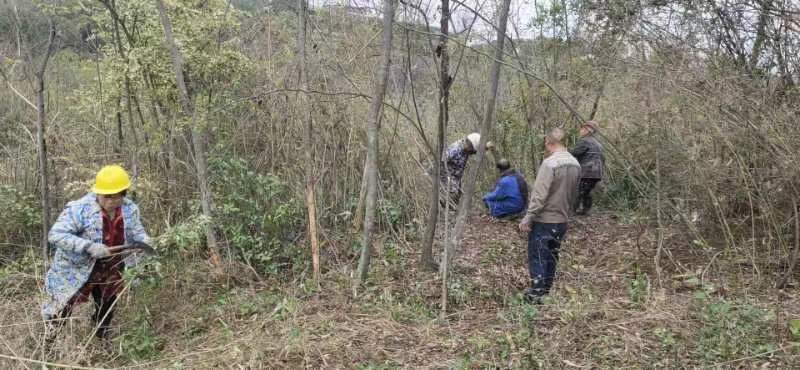 邵阳生态产业示范园全力做好清明节文明祭祀和森林防火工作