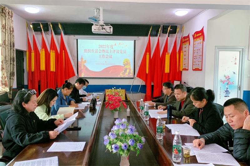 邵东市卫健局党委：加强“一线”指导  提高组织生活会质量