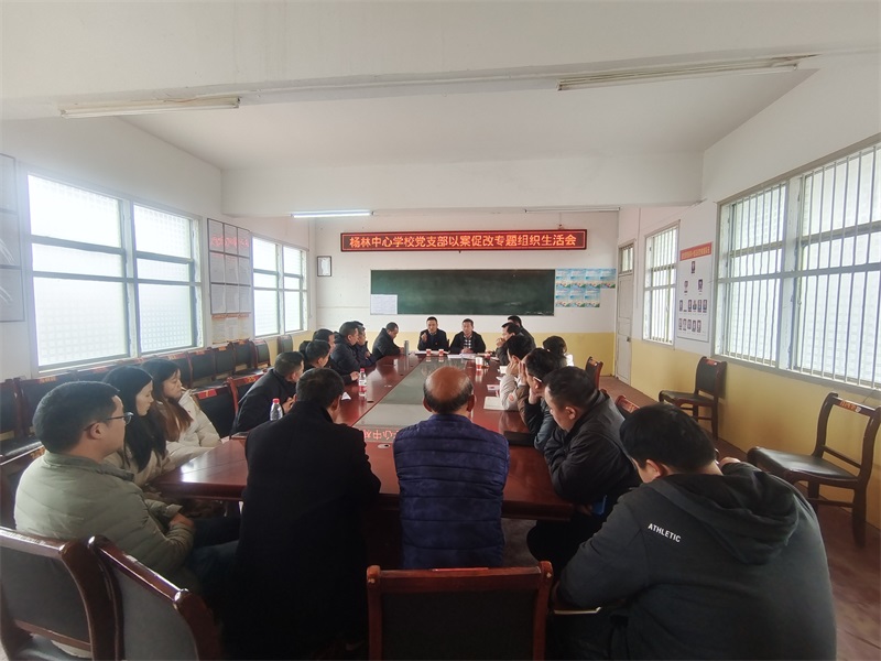 洞口县杨林镇中心学校党支部开展“以案促改”组织生活会