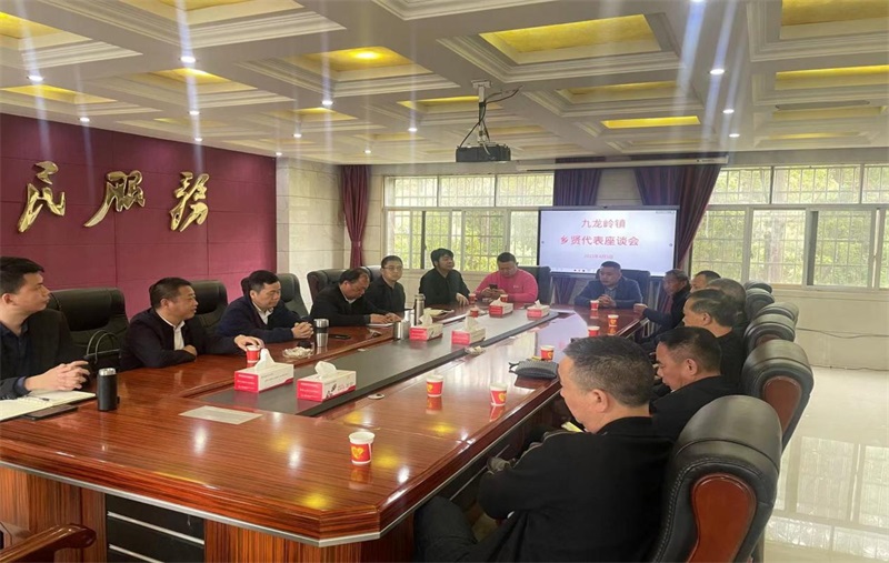 邵东市九龙岭镇召开乡贤代表座谈会