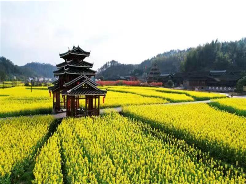 绥宁县：优化空间布局 守护山水灵气 