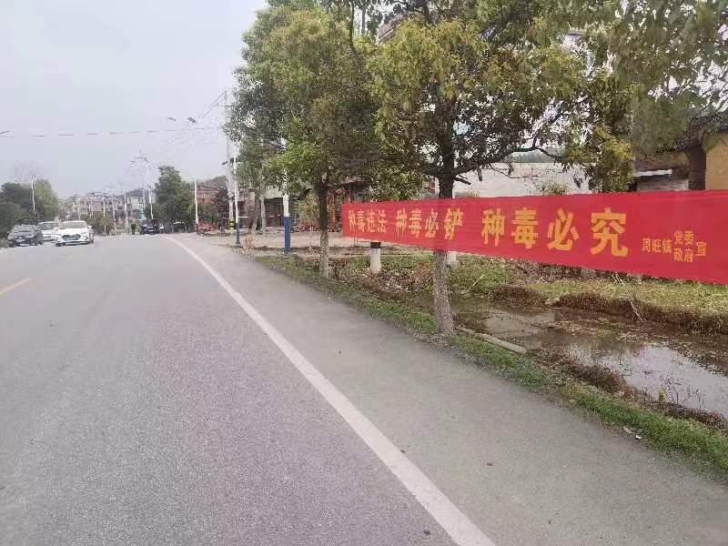 隆回周旺镇：开展禁种铲毒专项主题宣传活动