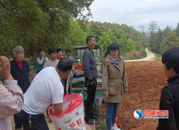 洞口县茶铺茶场管理区：恢复耕地复种“五步法” “唤醒”土地活力