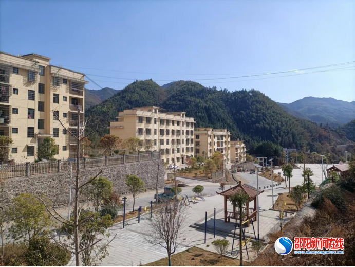 洞口县桐山乡：植树添新绿 种下新希望
