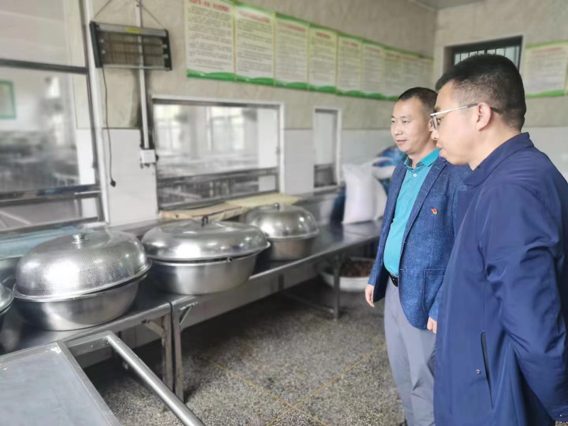 洞口县月溪镇党委书记调研教育工作