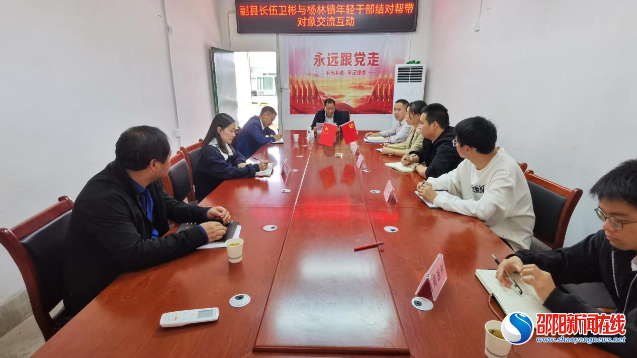 洞口县杨林镇召开年轻干部帮带培养座谈会