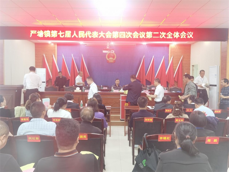 新邵县严塘镇第七届人民代表大会第四次会议顺利召开