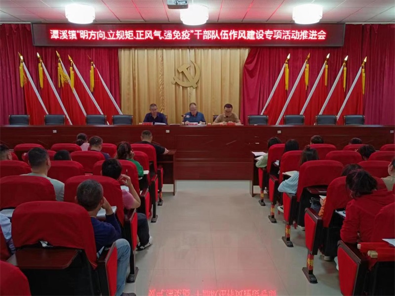 新邵县潭溪镇：党建引领强思想，作风建设谱新篇