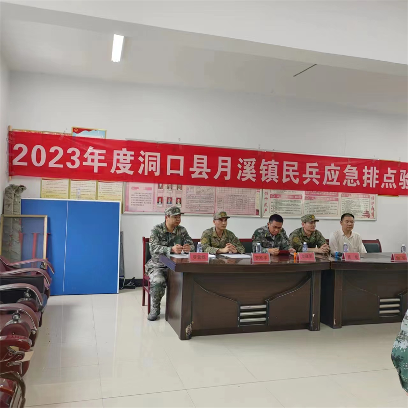 洞口县月溪镇：民兵点验聚士气 强化使命勇担当