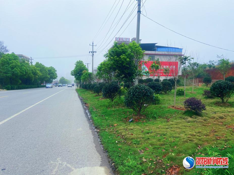 邵东市周官桥乡：道路绿化再提质 扮靓美丽乡村