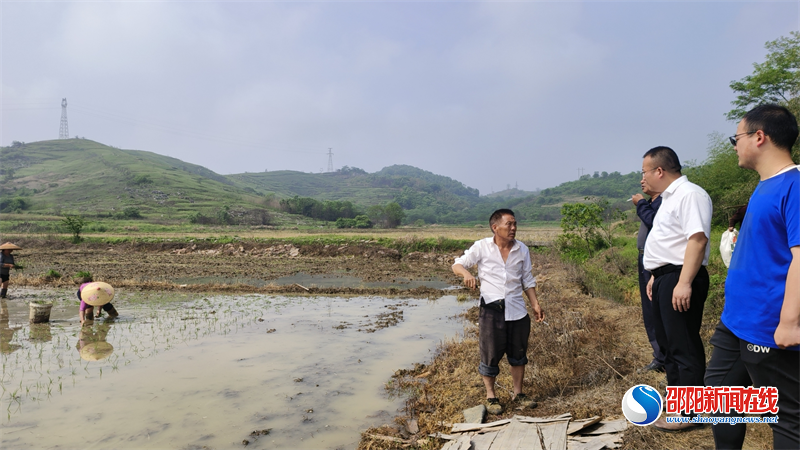 邵东市流光岭镇：多措并举，抓好春耕生产