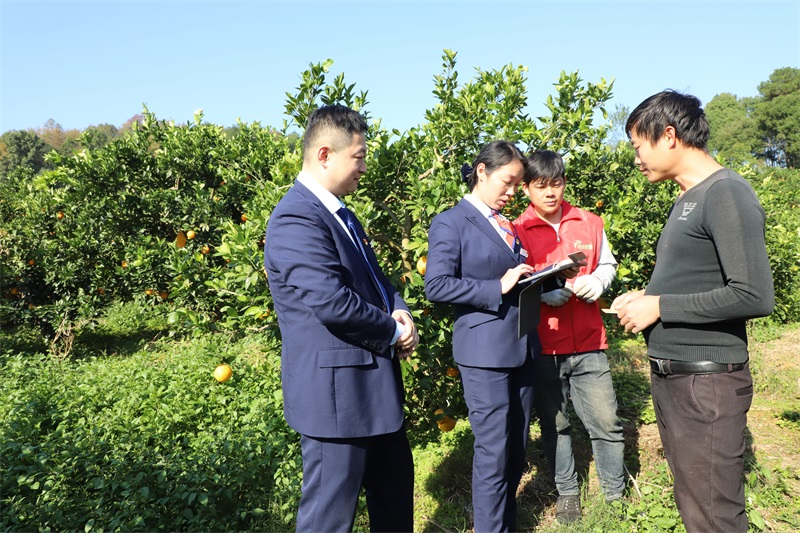 新宁农商银行一季度实现“开门红” 新增贷款3．29亿元