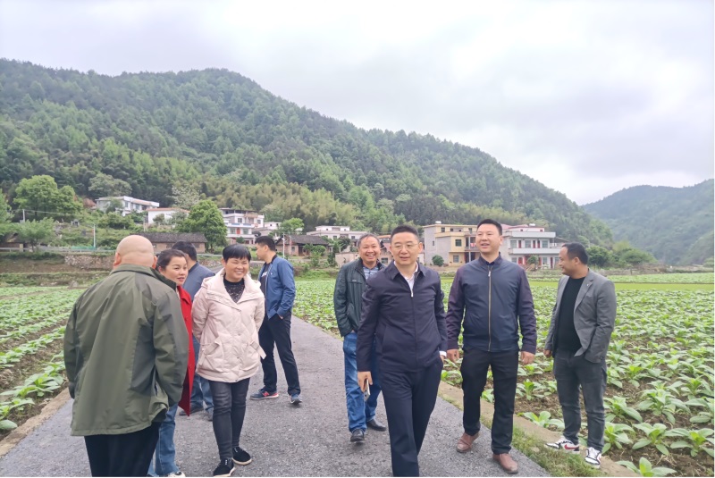 刘华中深入新宁县安山乡调研烟叶生产工作