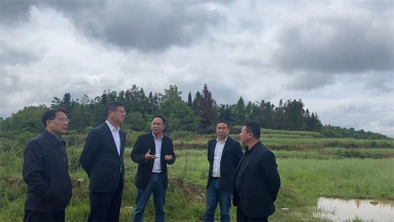 隆回县相关领导调研北山镇耕地恢复情况