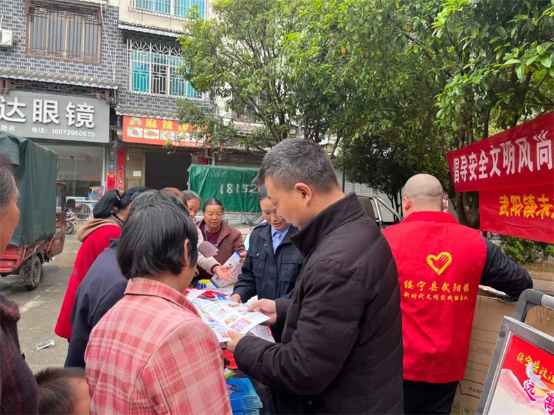绥宁县武阳镇：多方联动，“未”你护航助成长