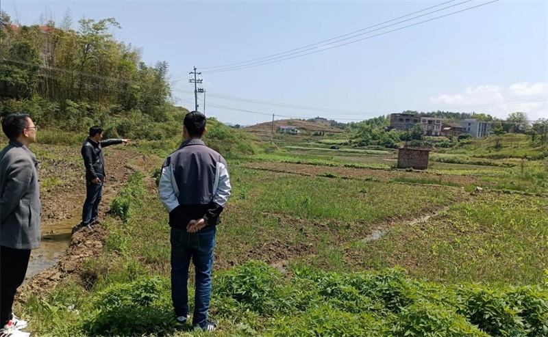 邵东市野鸡坪镇：乡村四月春耕忙，纪检干部来护航