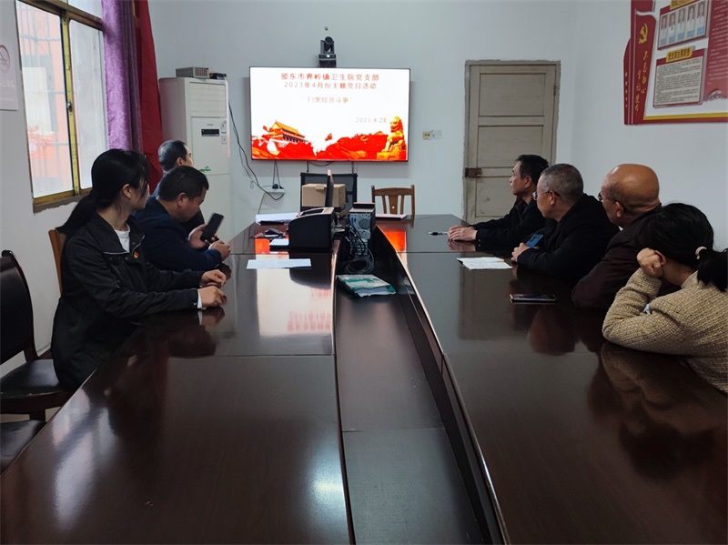 邵东市界岭镇卫生院开展主题党日活动