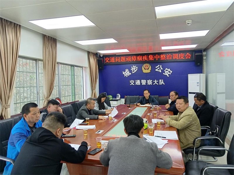 城步苗族自治县：“五力”齐发打造交通安全治理新格局