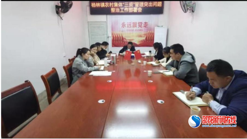 洞口杨林镇：摸清村级“三资”账，守好村民手中利