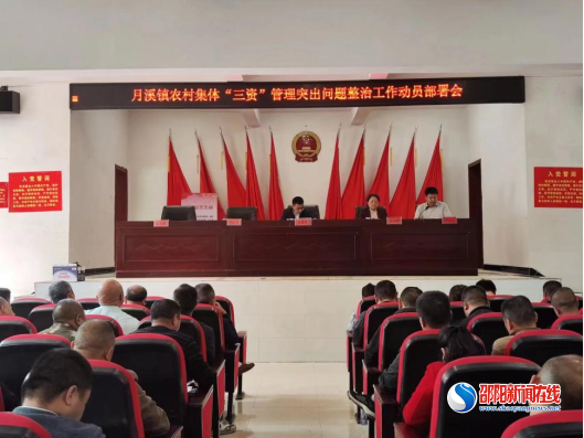 洞口县月溪镇：做好农村集体“三资”领域突出问题专项整治